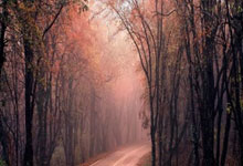 西甲:皇家马德里以1比2 不敌贝迪斯.