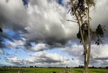 爱游戏体育：惨+惨！药厂输球仍差拜仁8分 维尔茨伤退无缘欧冠奇迹战.