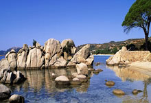 加拿大短道队主帅：世锦赛六金超预期 期待米兰再创佳绩.